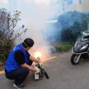 괴정1동-2 이미지