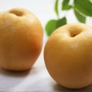 오체한의원 이미지