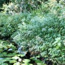 붉은오름자연휴양림4 이미지