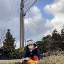 헤어 바이 욜로