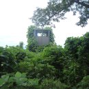 강변의 숲속 이미지