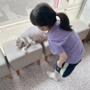 (주)퍼니펫 이미지