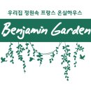 벤자민펜션