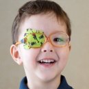 봄빛 안경 이미지