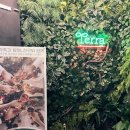 밤골야영장 이미지