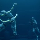 Avatar The Way of Water 이미지