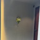 호제농장 | 도심 속 제주 소랑호젠 성수ㅣ성수에서 즐기는 특별한 제주의 한 끼