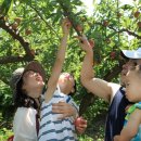 봉양4길 이미지