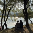 장터분식 이미지