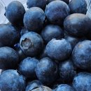 하동수지 이미지