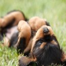 여수랑께펜션 이미지