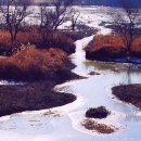 동읍1167 이미지