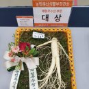 풍기농협 하나로마트 이미지