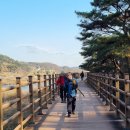 원주굽이길 8코스 태조왕건길 이미지