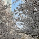 GS25유어스점 이미지