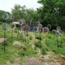 불암산로 이미지