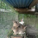 너른마당 이미지