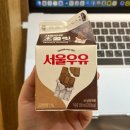 컴포즈커피서귀포동홍점