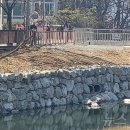 달천제방길 뉴스1