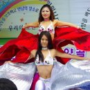 버드벨리 Daum카페