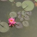 수목원 입구 이미지