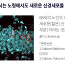 주식회사 메디라인 이미지