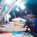 광천 하상주차장 이미지