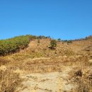 보성공인중개사 이미지