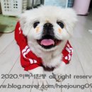 엔젤산부인과의원 이미지