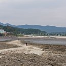 할미섬 티스토리
