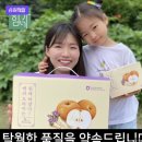 건강지킴이 카페 | 🌿 환절기 우리 가족 목 건강 지킴이, '힘가네 도라지배즙' 솔직 후기!