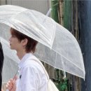 골드투어스 네이버블로그