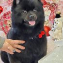 88개발소 이미지