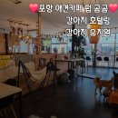 애견카페 펍 곰곰 네이버블로그