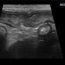 탄방메디칼 이미지