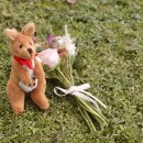 소풍시1947 이미지