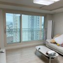다라블라인드&커튼강원지점