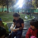 동탄센트럴파크 인공암장 이미지