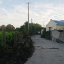 천미연대 이미지