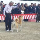 137회 본부전 방문기(5) 이미지