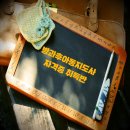 초등수학지도사1급 이미지