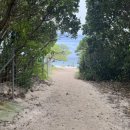 거북이 게임랜드 이미지