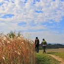 남도삼백리길(7코스) 이미지