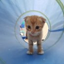 반달옷방 이미지