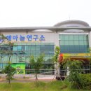 보물섬마늘나라 이미지