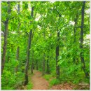 명산목장 이미지