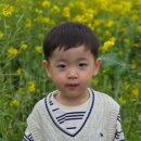 (주)해피렌트카 이미지