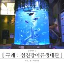 토속어류생태관 | [ 구례 아이들과 갈만한 곳 ] 섬진강어류생태관(21년 12월 11일 재오픈!!)