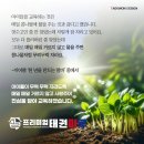 태권마루 이미지