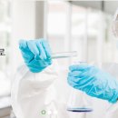 코코러스 이미지